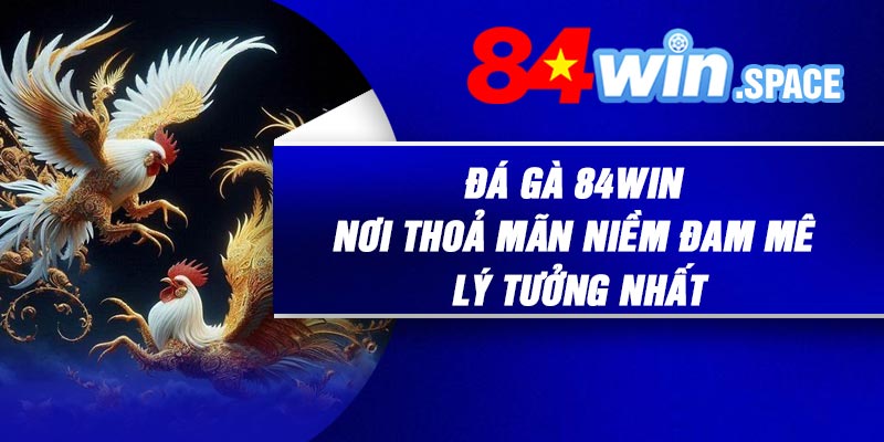 Đá Gà 84Win – Nơi Thoả Mãn Niềm Đam Mê Lý Tưởng Nhất