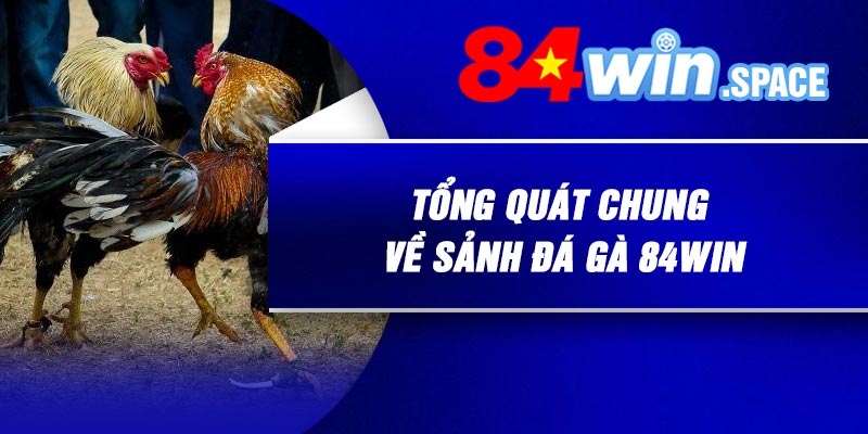 Tổng quát chung về sảnh đá gà 84Win